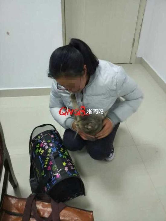 女大学生猫藏肚子扮孕妇 乘车安检猫叫被发现