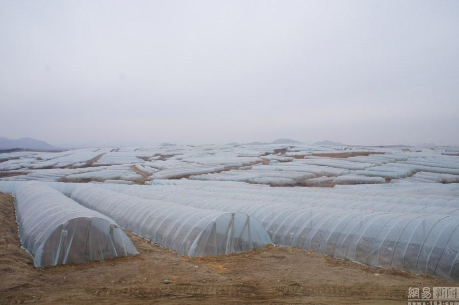 红包哥狂发九万:我喜欢用红包和网友打招呼 一天不发就难以入睡 红包哥狂发九万:我喜欢用红包和网友打招呼 一天不发就难以入睡