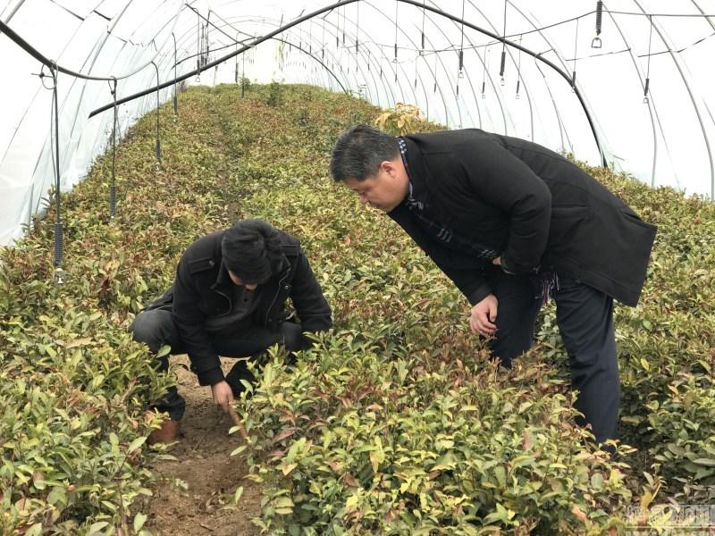 红包哥狂发九万:我喜欢用红包和网友打招呼 一天不发就难以入睡 红包哥狂发九万:我喜欢用红包和网友打招呼 一天不发就难以入睡