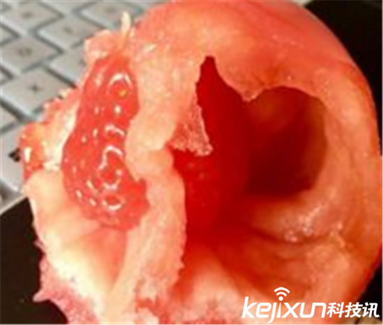 西红柿里吃出草莓：确实是正经西红柿可里面真是不正经！