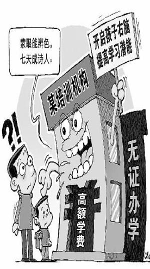 探究“脑立方”培训怪象 谁忽悠了谁?