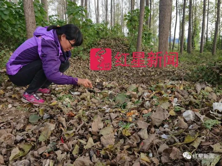 女硕士从海外回农村捡垃圾 认识北京一半收破