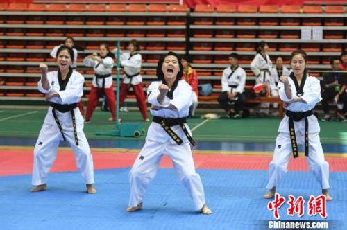 资料图:女大学生在赛场“霸气”呐喊。 杨华峰 摄