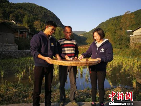 谢丹和石中路已为花垣县猫儿乡田湾村筹建了水稻专业合作社。受访单位提供