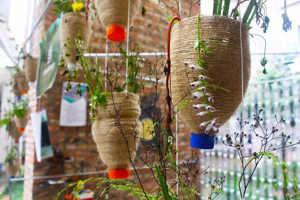 美！大学生用废品改造出“梦幻花园”