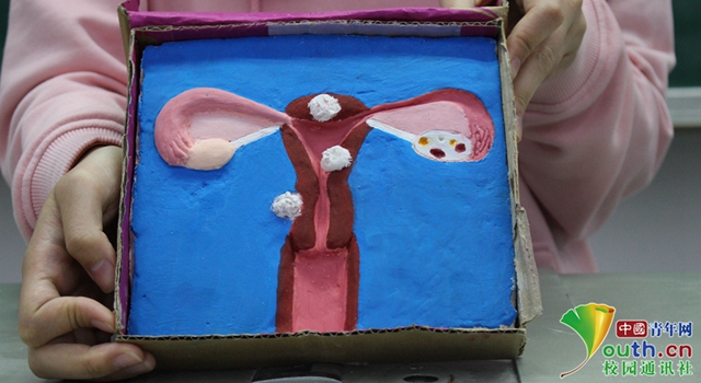 04 选手展示了子宫、输卵管峡、输卵管壶腹和输卵管伞 医学影像学院提供_副本.jpg