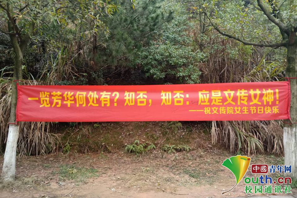 湖南第一师范学院 王兴兴 陆西 (2)