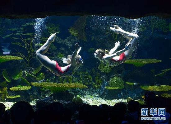 俄罗斯大学生来中国 做海洋馆里的“美人鱼”