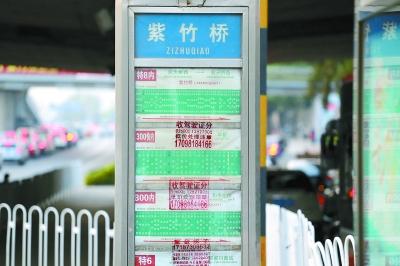 广告霸占公交站牌 “三元桥”成了“重金求子”站？