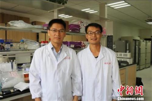 资料图：李红良教授(左)和王志华教授(右) 杜巍巍 摄